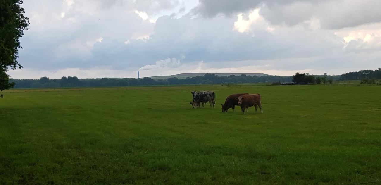 Wilhelminahoeve Tiendeveen Kültér fotó
